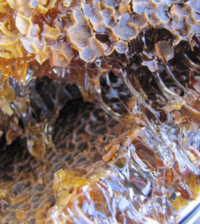 Comb honey