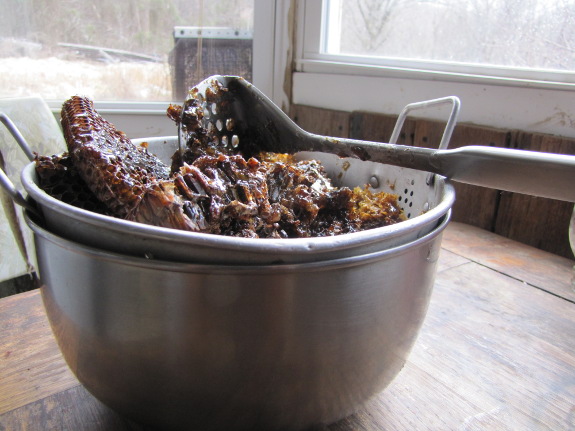 Extracting honey in a colander