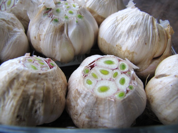 Garlic with the tops cut off