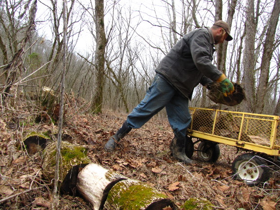 Moving firewood