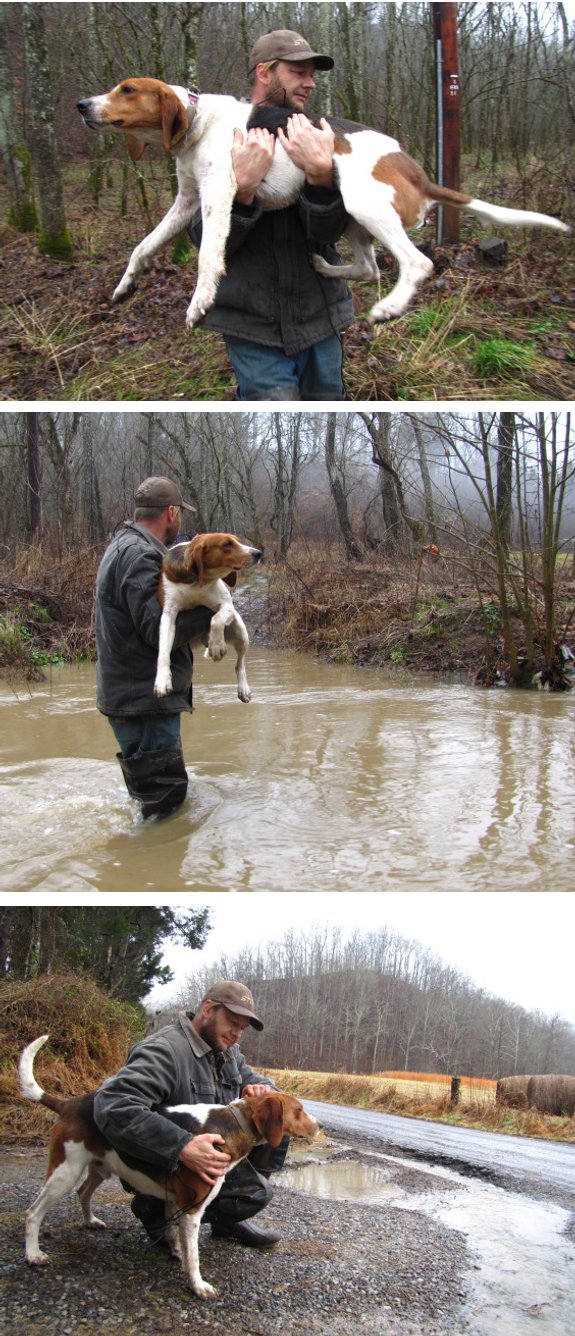 carrying corn dog across creek