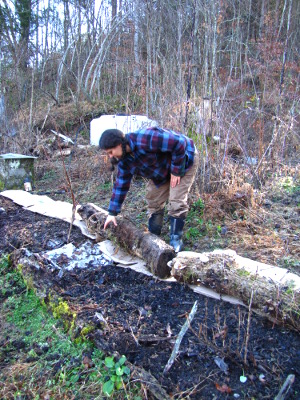 Lining a garden bed with logs
