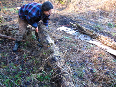 Rolling log