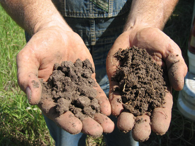 Prairie soil