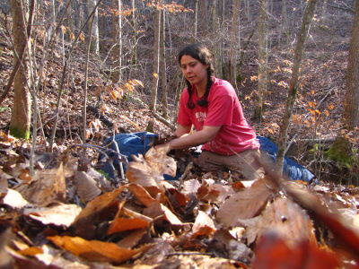 Gathering leaves