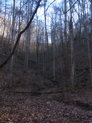 Appalachian hillside