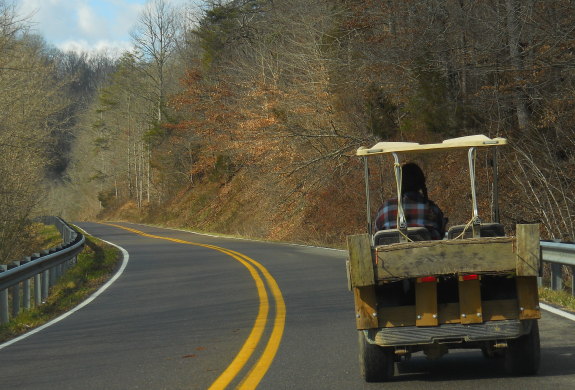 Anna driving the golf cart on the 2 lane road near our home