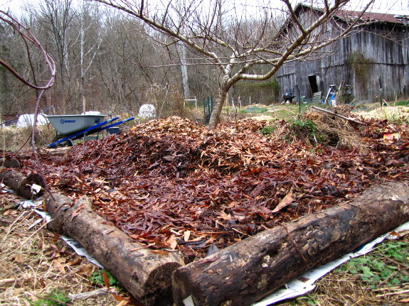 Mulched tree bed