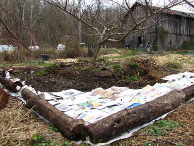 Newspaper kill mulch