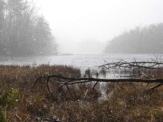 Bays Mountain Lake in the snow