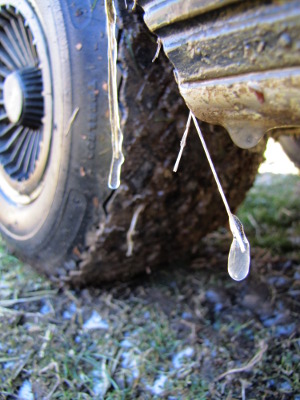 Icicle on a golf cart