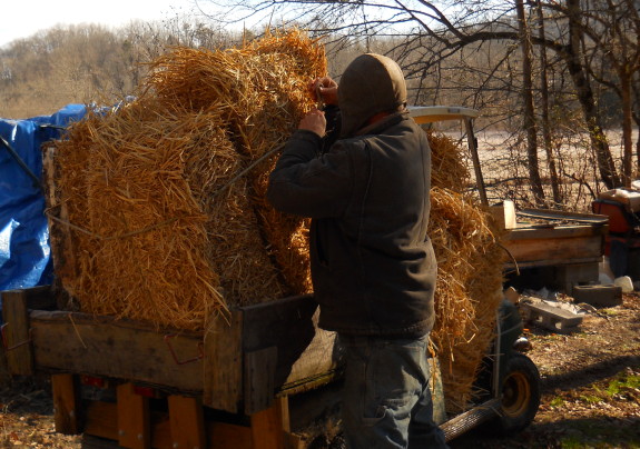 loading up 6 bales of straw in the golf cart