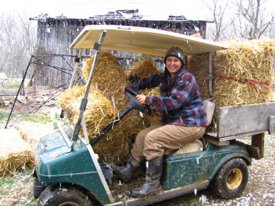 Farm use golf cart