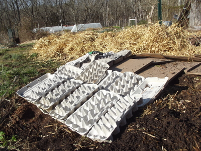 Egg carton kill mulch