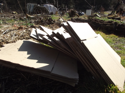 Gardening with cardboard