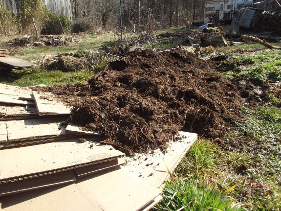 New raised bed