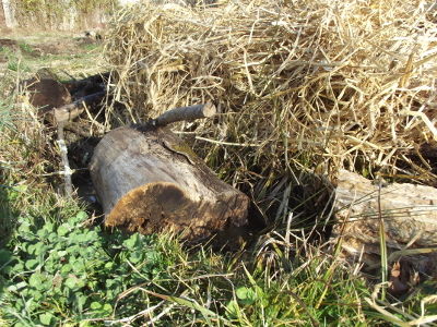 Putting logs in swales