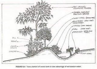 Dry climate swale