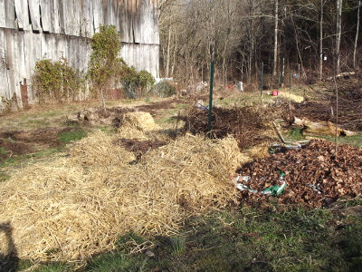 Types of mulch