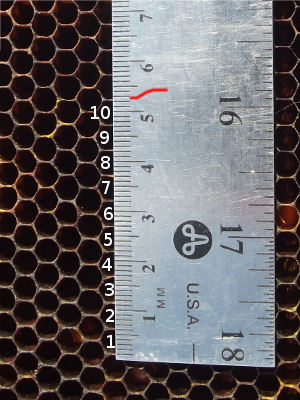 Measuring cell size