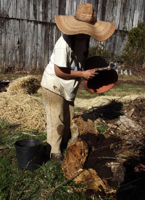 Adding soil to hugelkultur