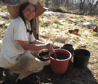 Old potting soil