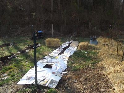 Mulching with junk mail