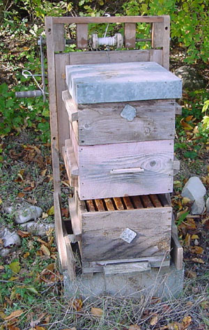 Hive lift, nadiring a Warre hive