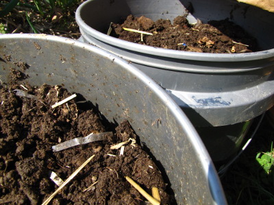 Buckets of compost
