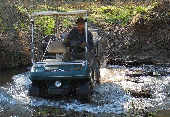 Club Car golf cart crossing a creek
