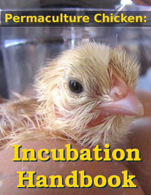 Incubation Handbook