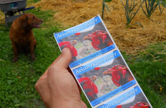 automatic chicken waterer new label design with full color image