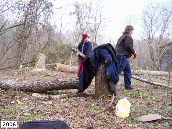 Clearing woods