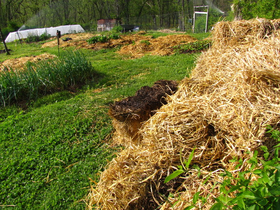 Pile of straw