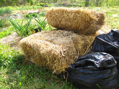 Straw in the garden