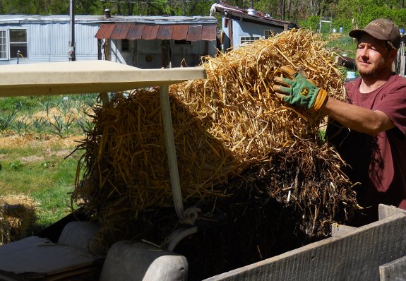 man unloading straw bales from Club Car golf cart 2012