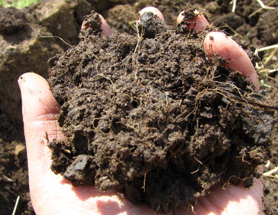 No-till topsoil