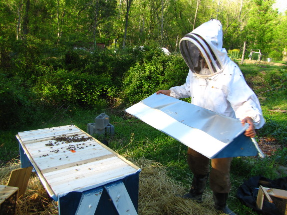 Put lid on top bar hive