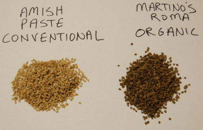 Tomato seeds processed in two different ways