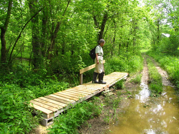 Boardwalk