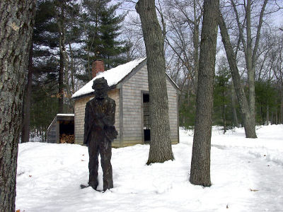 Thoreau in the woods