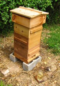 Warre hive