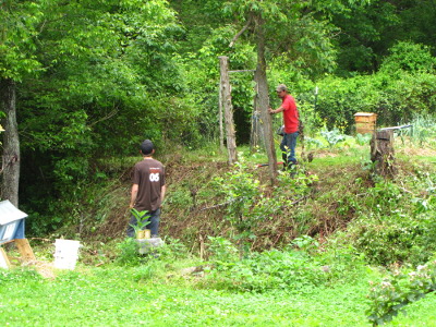 Clearing the gully