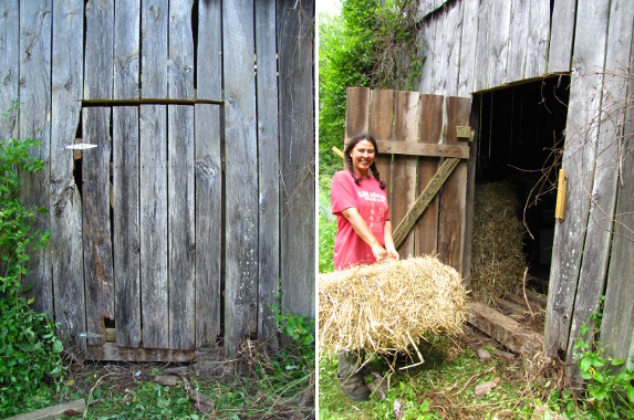 Barn door