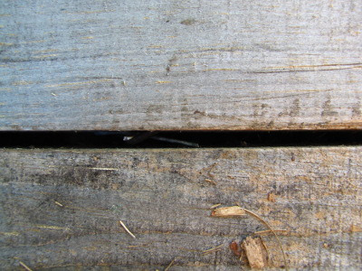 Gap in wall of worm bin