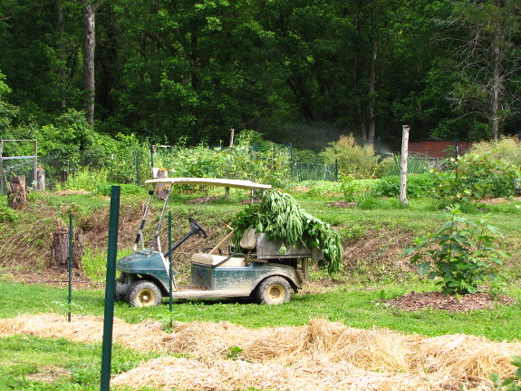 Driving mulch to the garden