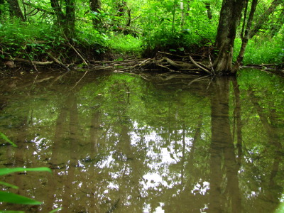 Creek pool