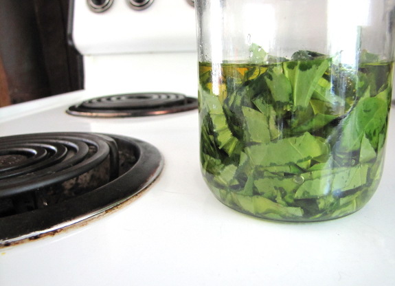 Steeping plantain leaves