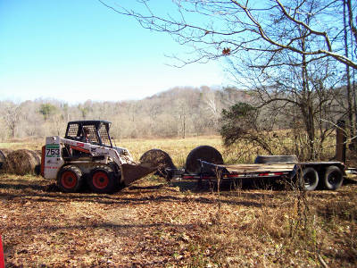 Bobcat rental