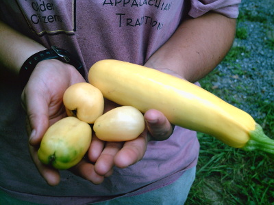 First homegrown vegetables